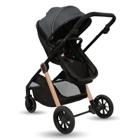 Caruciorul transformabil 2 in 1 Elite, Grey, AppeKids 769192