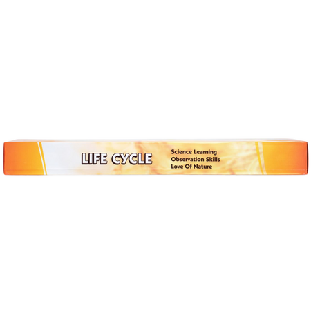 Set educativ – Ciclul de viata al gainii, 3 ani+, OEM 771832