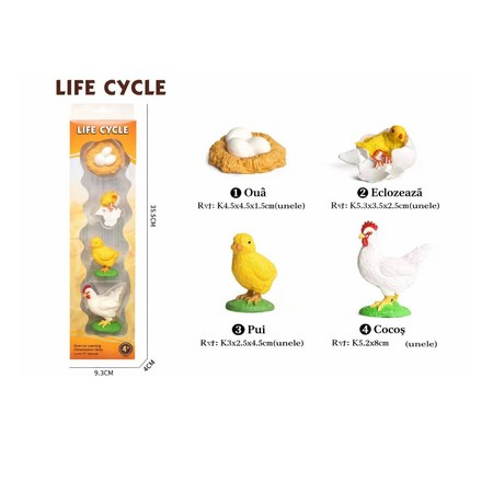 Set educativ – Ciclul de viata al gainii, 3 ani+, OEM 771834