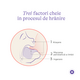 Pachet biberoane cu tetina flux rapid NaturalWave, +6 luni, 3 x 330 ml, Lansinoh 773275