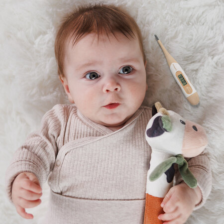 Termometru digital flexibil, Babyono 774776