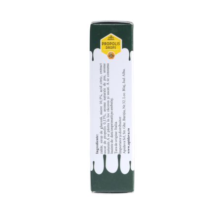 Dropsuri cu Propolis, miere si pin, 44 g, Apidava 775380