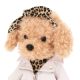 Catelusa de Plus Premium Lucky Doggy, 38 cm, Lucky Fendi in Tinuta Eleganta, 3 ani+, Orange Toys 775433