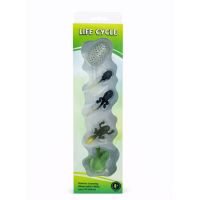 Set educativ – Ciclul de viata al broastei, 3 ani+, OEM