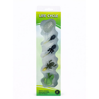 Set educativ – Ciclul de viata al broastei, 3 ani+, OEM
