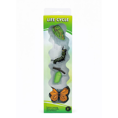 Set educativ – Ciclul de viata al fluturelui, OEM