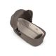Landou Lytl, Chestnut, Nuna 780520