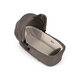 Landou Lytl, Chestnut, Nuna 780520