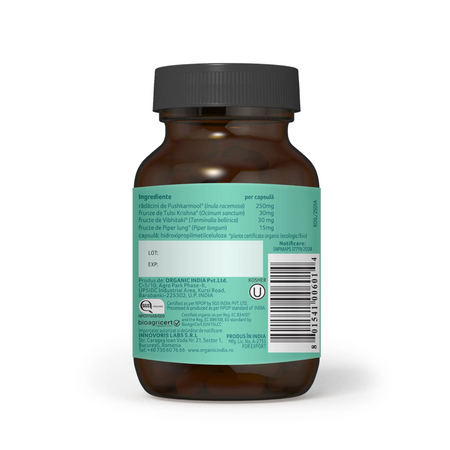 Breathe Free Bio, 60 capsule, Organic India 780688