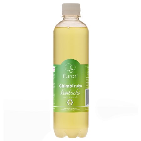Bautura carbogazoasa pe baza de ceai Kombucha, Ghimbir, 500 ml, Furori