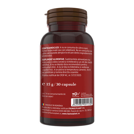 Vitamina B12, 1000 mcg, 30 capsule vegetale, Faunus Plant 782111