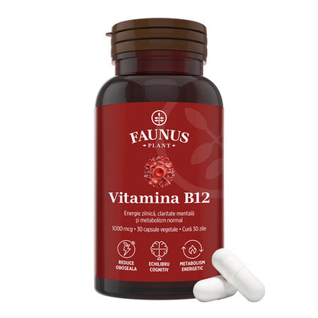 Vitamina B12, 1000 mcg, 30 capsule vegetale, Faunus Plant 782109