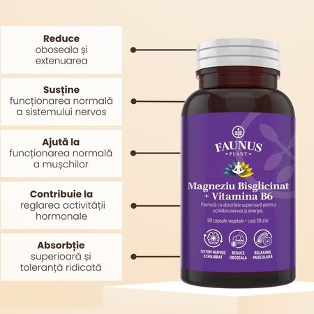 Magneziu Bisglicinat + Vitamina B6, 90 capsule vegetale, Faunus Plant 782127