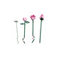 Buchet de trandafiri roz Botanicals, +18 ani, 10374, 789 piese, Lego 783123