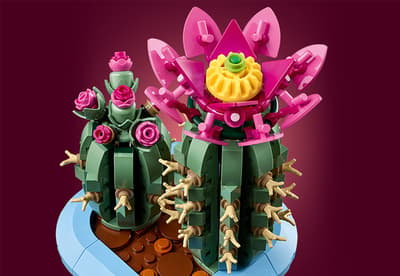 LEGO Botanicals cactus mare inflorit cu floare roz