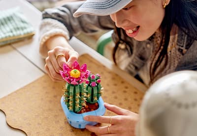 LEGO Botanicals decoratiune sub forma de plante cu cactusi