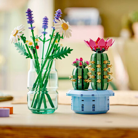 Cactus inflorit Botanicals, +9 ani, 11509, 482 piese, Lego 783194