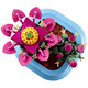Cactus inflorit Botanicals, +9 ani, 11509, 482 piese, Lego 783189