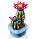 Cactus inflorit Botanicals, +9 ani, 11509, 482 piese, Lego 783191