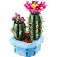 Cactus inflorit Botanicals, +9 ani, 11509, 482 piese, Lego 783196