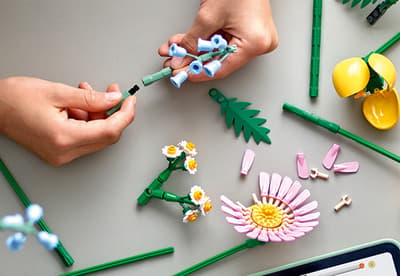 LEGO Botanicals aranjeaza un mic buchet