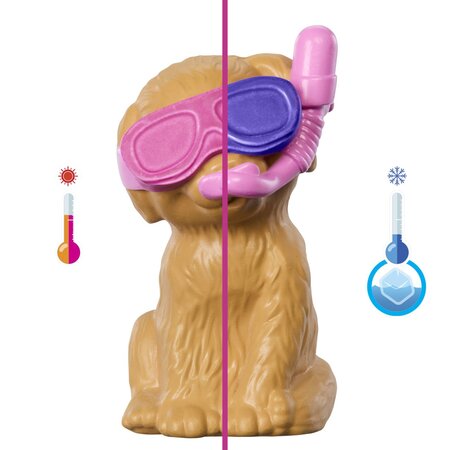 Papusa Barbie, Petrecerea Catelusului la Piscina, 3 ani+, Mattel 784138