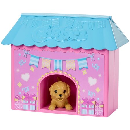 Papusa Barbie Family and Friends, Clubul lui Chelsea zi de nastere, 3 ani+, Mattel 784196
