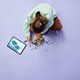Refugiul Elphabei Wicked, +7 ani, 228 piese, Lego 784833
