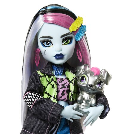 Papusa cu accesorii, Frankie Stein si Watzie, 4 ani+, Monster High 785113