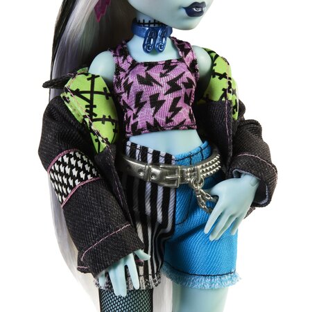 Papusa cu accesorii, Frankie Stein si Watzie, 4 ani+, Monster High 785115