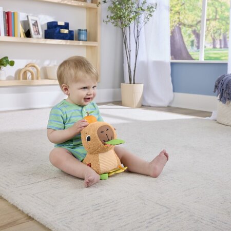 Jucarie senzoriala, Capybara, 3 luni+, Fisher Price 785143