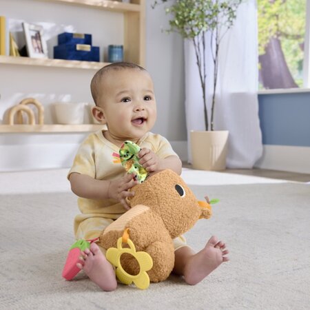 Jucarie senzoriala, Capybara, 3 luni+, Fisher Price 785145