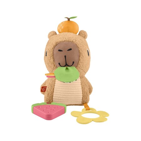 Jucarie senzoriala, Capybara, 3 luni+, Fisher Price 785150