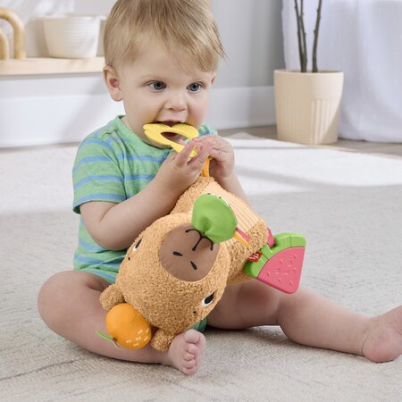 Jucarie senzoriala, Capybara, 3 luni+, Fisher Price 785148