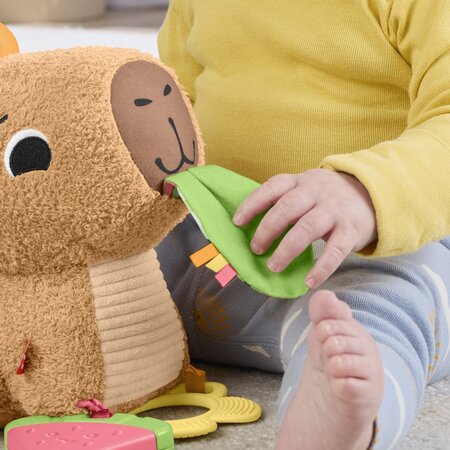 Jucarie senzoriala, Capybara, 3 luni+, Fisher Price 785146