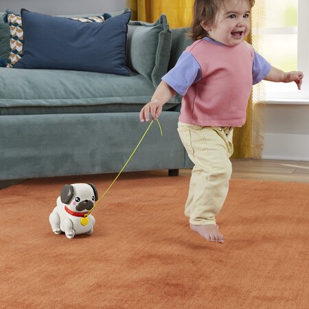 Jucarie interactiva de tras, Catel cu miscari si sunete, 12 luni+, Fisher Price 785175