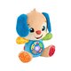 Catel interactiv cu urechi albastre, Rade si invata, 6-36 luni, Fisher Price 785198