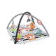 Salteluta de activitati muzicala 3 in 1, 0 luni+, Fisher Price 785232