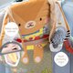 Jucarie auto Urban Garden, 0 luni+, Taf Toys 786980