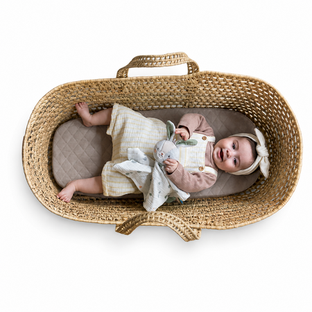 Jucarie tip paturica, Rylee the Bunny, 0 luni+, Taf Toys 787194