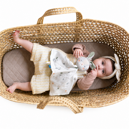 Jucarie tip paturica, Rylee the Bunny, 0 luni+, Taf Toys 787191