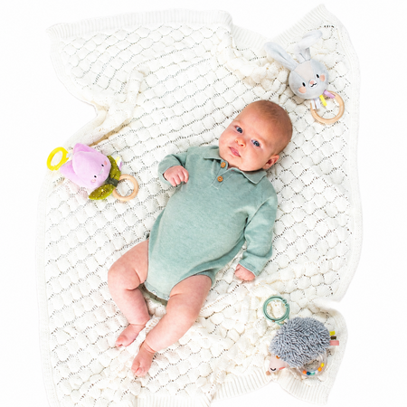 Jucarie tip Zornaitoare, Ariciul Spike, 0 luni+, Taf Toys 787249