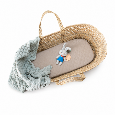 Jucarie tip Zornaitoare, Iepurasul Rylee, 0 luni+, Taf Toys 787269