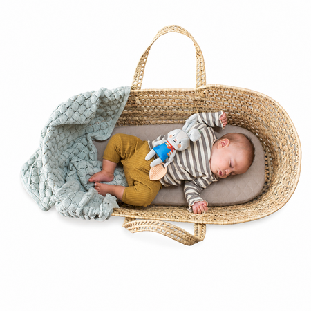 Jucarie tip Zornaitoare, Iepurasul Rylee, 0 luni+, Taf Toys 787270
