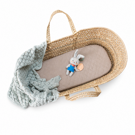 Jucarie tip Zornaitoare, Iepurasul Rylee, 0 luni+, Taf Toys 787272