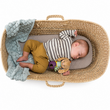 Jucarie tip Zornaitoare, Iepurasul Jenny, 0 luni+, Taf Toys 787319