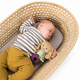 Jucarie tip Zornaitoare, Iepurasul Jenny, 0 luni+, Taf Toys 787320