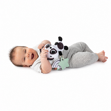 Jucarie tip Zornaitoare pentru carucior sau landou Black & White Decor, Elizabeth The Panda, 0 luni+, Tiny Love 787601
