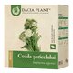 Ceai coada soricelului, 50 g, Dacia Plant 787773