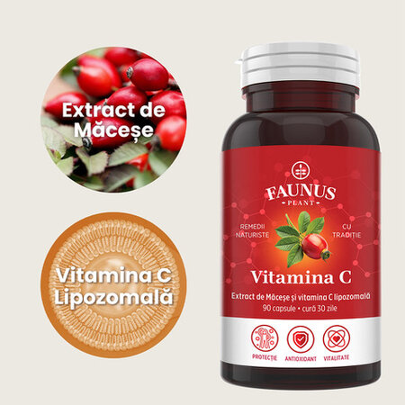 Vitamina C Lipozomala, 90 capsule, Faunus 788127